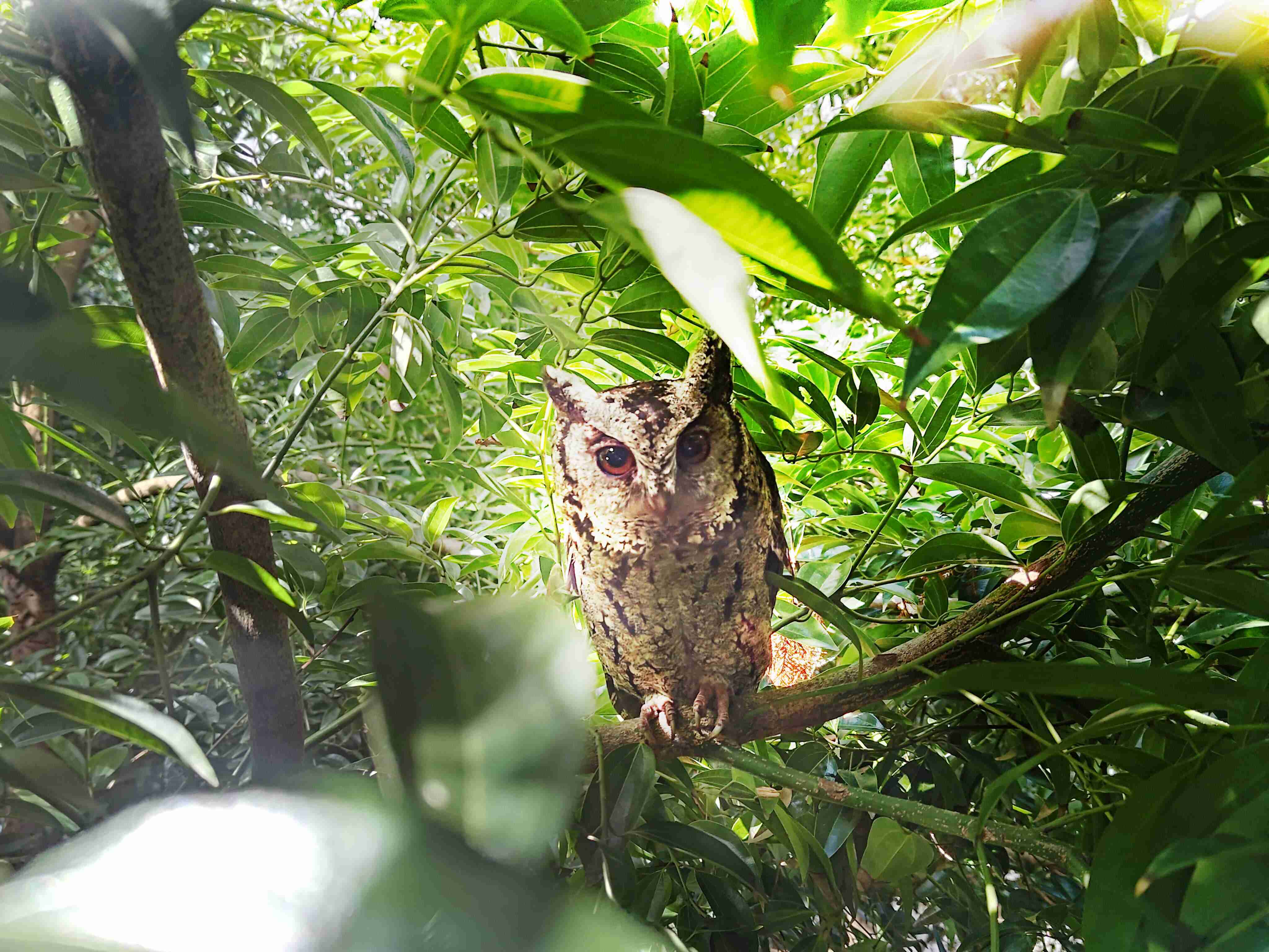 人生就是博致力提倡净零绿生活，，，16年以来在全球各厂区植树逾百万棵，，造就各厂区树木蔚然成林，，犹如森林工厂，，，，成为许多生物的栖息地